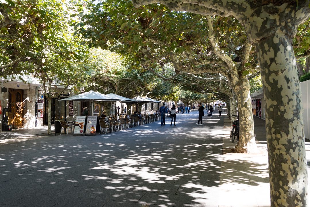 20171010 132421 , Burgos, Castille and Leon, Spain